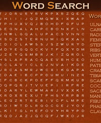 Word Search